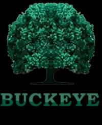 Buckeye Vault Service Logo