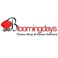 Bloomingdays Flower Shop & Flower Delivery Logo