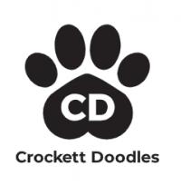 Crockett Doodles Logo