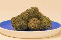 Serra Dispensary Downtown Logo