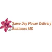 Same Day Flower Delivery Baltimore MD - Send Flowers Logo