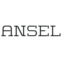 Ansel logo
