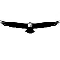 Olympic Tactical & Investigations LLC Logo