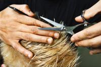 Linda’s Hair Styles Salon Logo