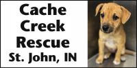 Cache Creek Rescue St. John, IN Logo