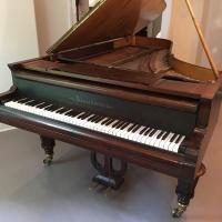 Amadeus Piano Company Logo