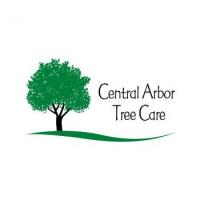 Central Arbor Tree Care Logo