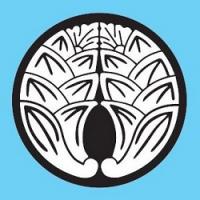 Spring District Family Dentistry Bellevue Logo