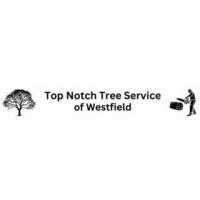 Top Notch Tree Service of Westfield Logo