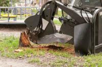 Smiles Tree Care Inc Logo