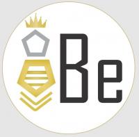 Be Insured Florida LLC Logo