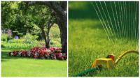 Super Family Landscape Sculpting and Supplies Logo