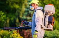 Hub City Pest Control Experts Logo