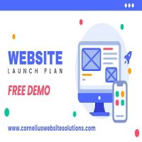 Cornelius Website Solutions LLC Logo