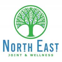North East Chiropractic Center logo