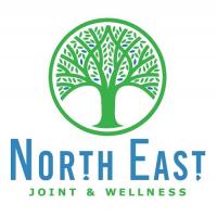 North East Chiropractic Center Logo