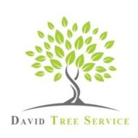 David Tree Service LLC Logo