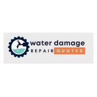 Prairie Water Damage Experts Logo