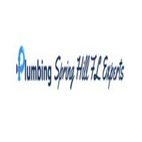 Plumbing Spring Hill FL Experts Logo