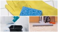 Vicente Cleaning Service Logo