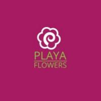 Playa Del Rey Florist Logo