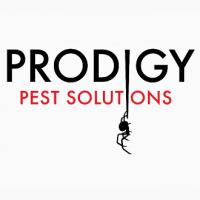 Prodigy Pest Solutions Logo