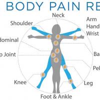 Dr. Noam Sadovnik, Financial District Chiropractor & PT Logo