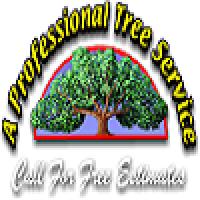 Professional Tree Service Lexington KY  Logo