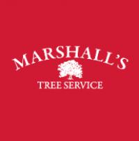 Marshalls Tree Service & Firewood, Inc. Logo