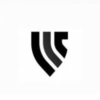 Lanier Luxury & Exotic Car Rentals Logo