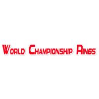 super bowl championship rings worldchampionshiprings Logo