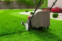 Cody's Lawn Care and Landscape Logo