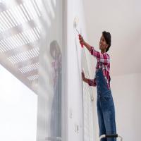 Dallas Painting Solutions Logo