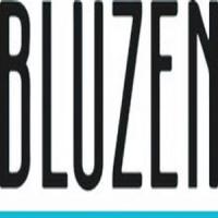 Bluzen Wellness Logo