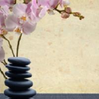 Natural Therapeutic Relief Logo