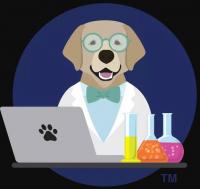 LAB Digital Creative Logo