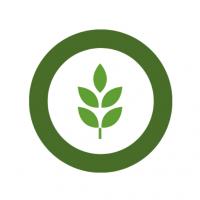 Mold  Removal Holiday Logo
