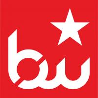 Bluewater Performance Logo