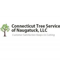 Connecticut Tree Service of Naugatuck LLC Logo