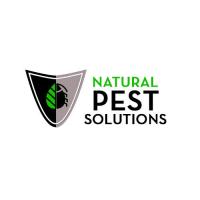 Natural Pest Solutions San Tan Valley Logo