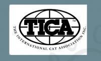 Savannah Cats for sale Logo