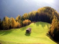 Reeves Land Services LLC Logo