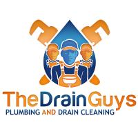The Drain Guys Plumbing & Drain Cleaning Logo