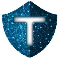 Tandem Cyber Solutions Logo