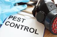 Dallas Pest Control Solutions Logo