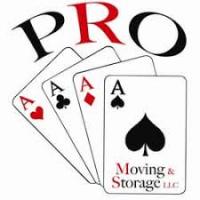 ProACE international Logo