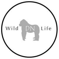 Derek Nielsen Photography Logo