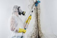 Phoenix Mold Remediation - Mold Containment & Removal Logo