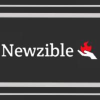 Newzible Logo