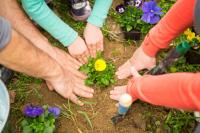 Jacinto Gardening Service Logo